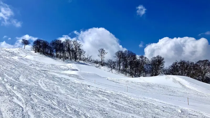 冬季オリンピック 山岳スキーモ結果速報・日程テレビ放送・出場選手