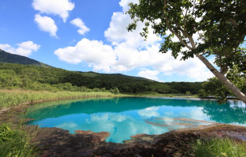 岩手県高校総体結果速報・日程組み合わせ・インターハイ県予選