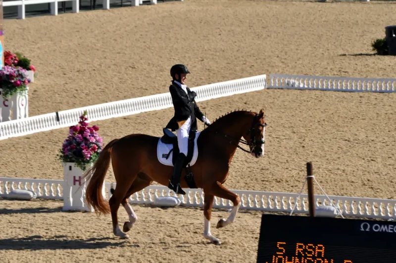 全日本高等学校馬術競技大会インターハイ結果速報・日程ライブ配信