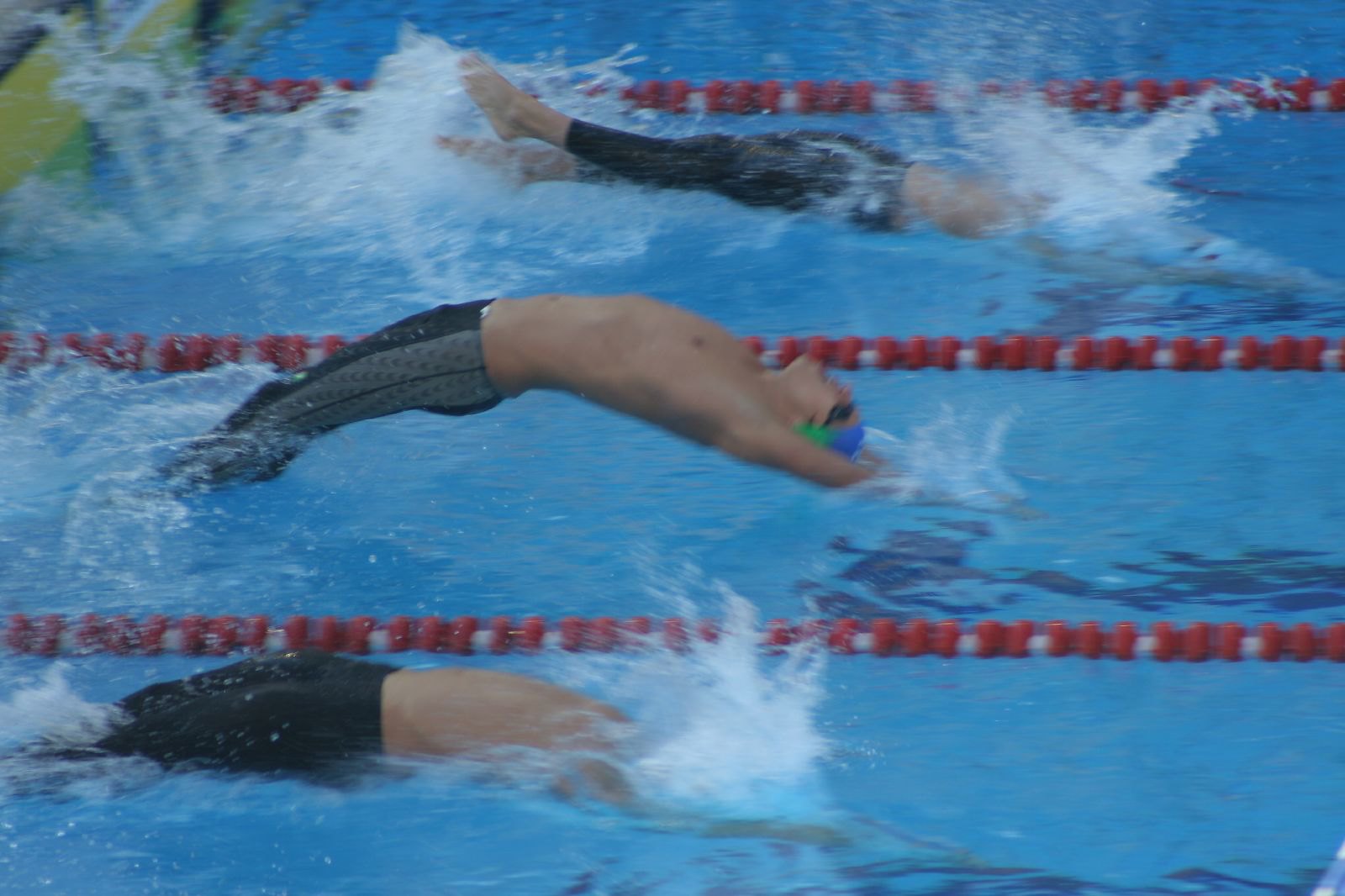 日本学生選手権水泳競技大会